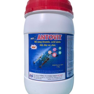 MPT – ANTOVIT