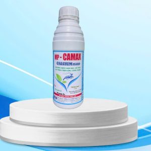 MP – CAMAX