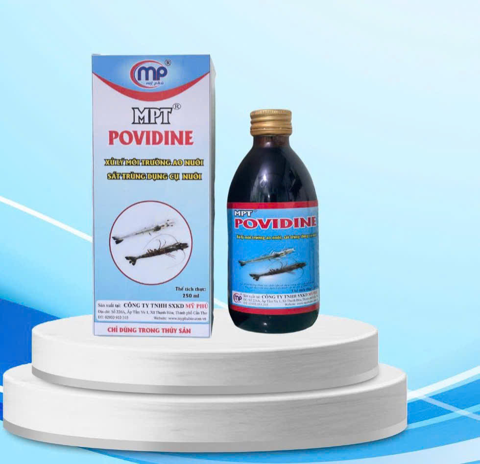 MPT POVIDINE