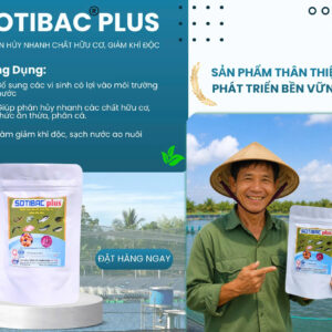 SOTIBAC Plus