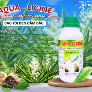 AQUA LICINE