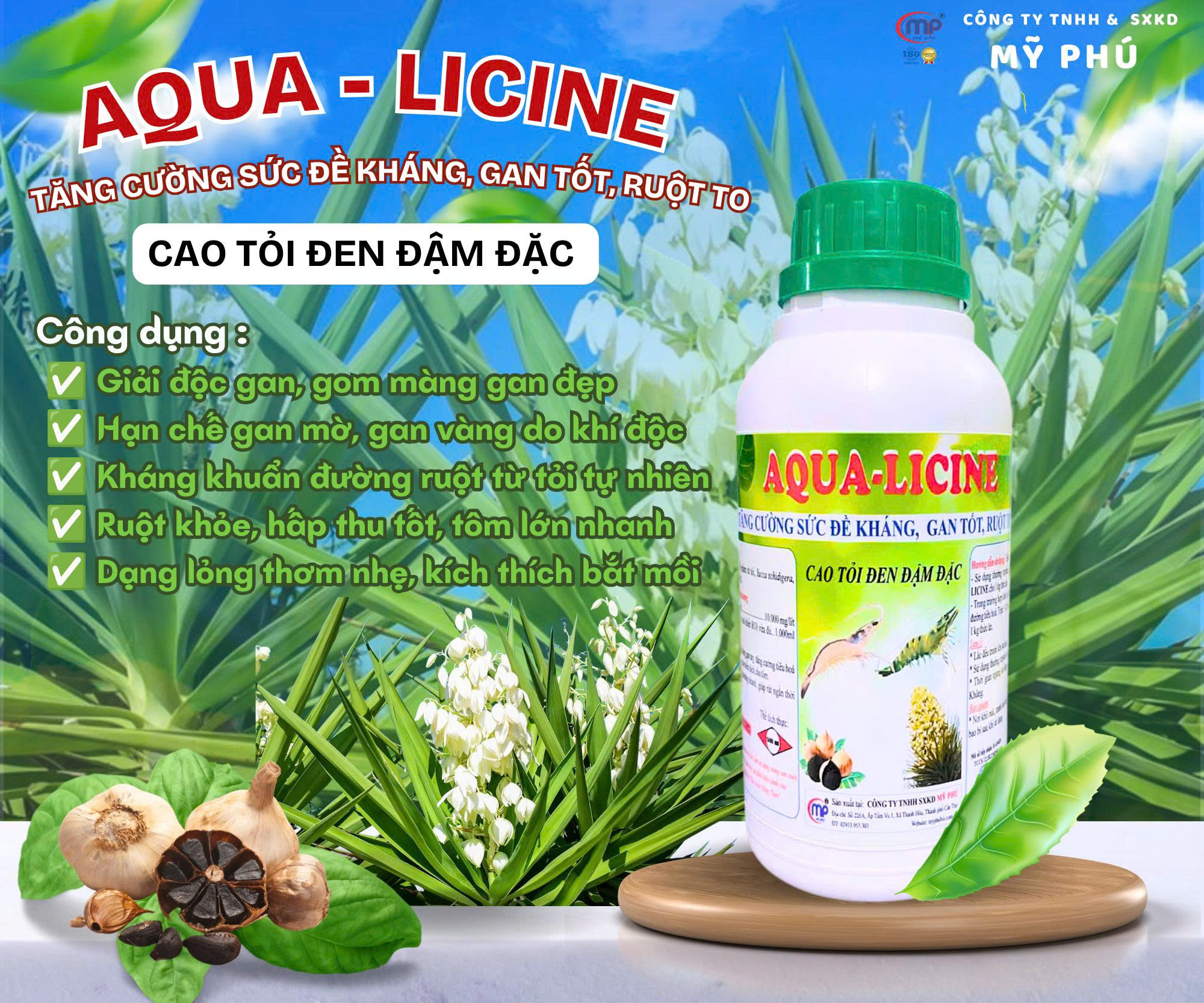 AQUA LICINE