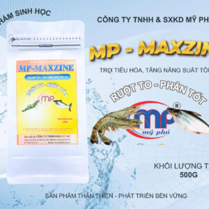 MP MAXZINE